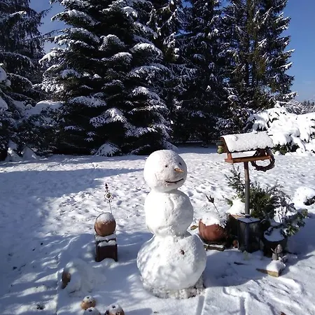 Wohnen Im Huehnerhaus