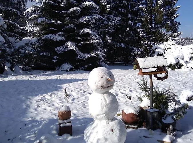 Wohnen Im Huehnerhaus